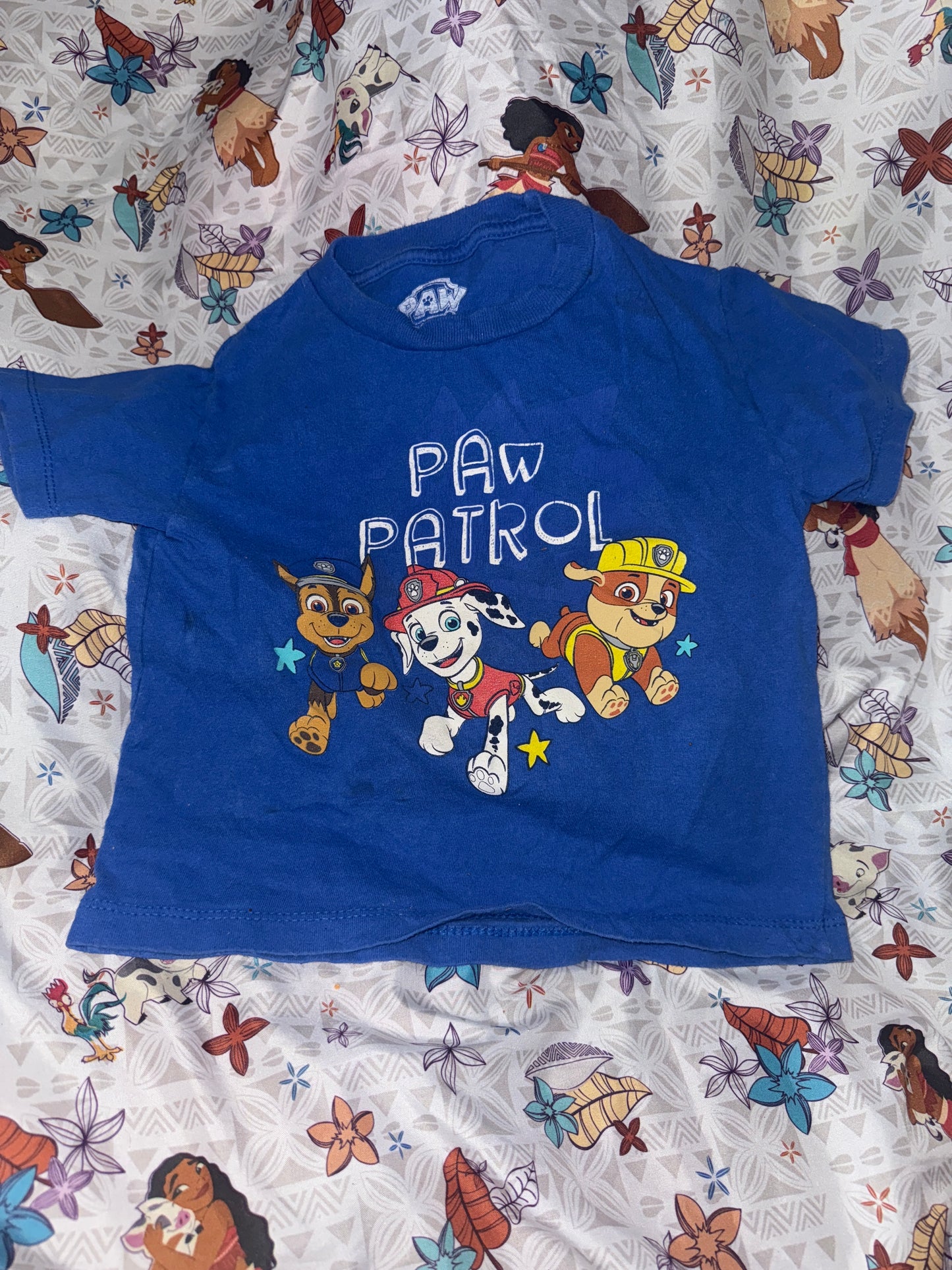 Pier paw patrol